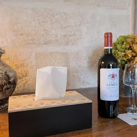 Du Palat Climatisee, Vue Sur Les Vignobles St-emilion Saint-Émilion